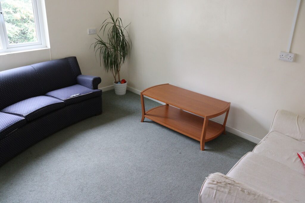 Green Room showing blue 3-seater sofa, coffee table and white 2-seater sofa.